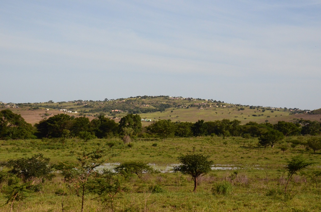 2015-05 South Africa/iMfolozi/DSC_0048.JPG
